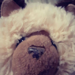 Meet your Posher, L05er